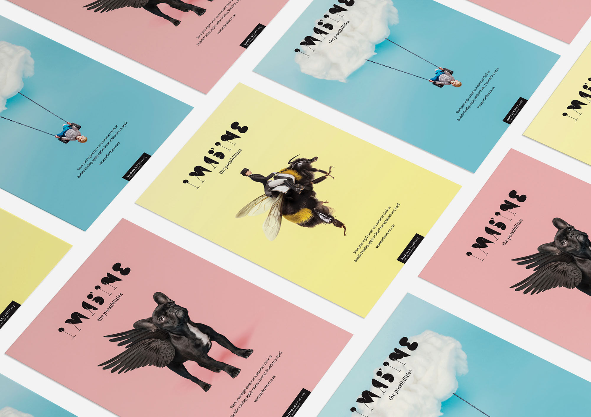 buddle_findlay_case_study_banner