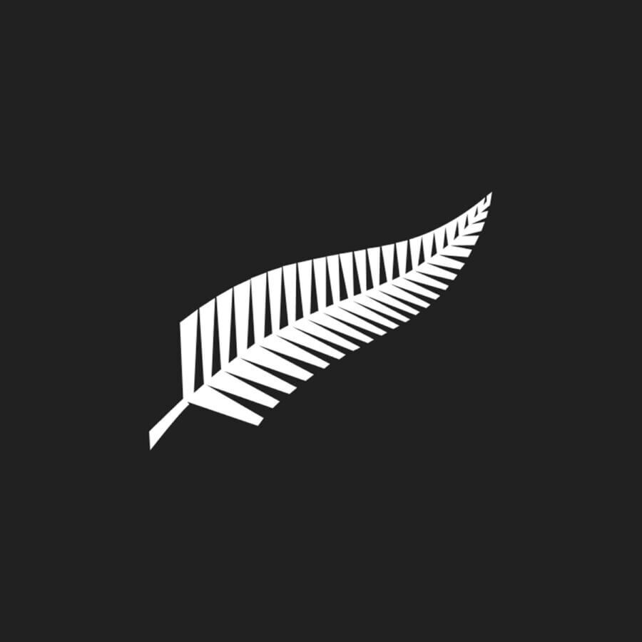 All Blacks Silver Fern