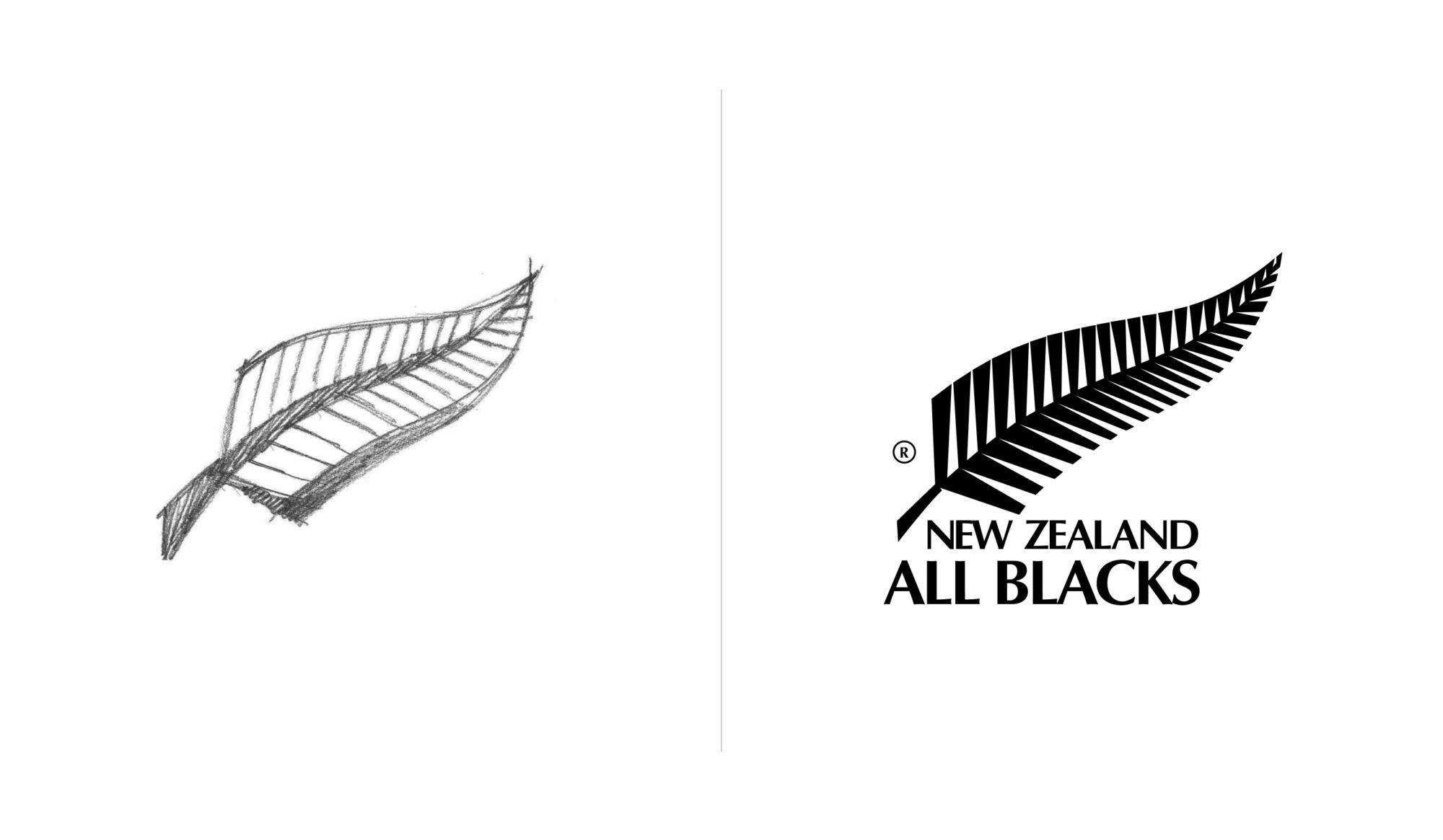 nz fern logo