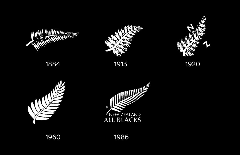 Silverfern_case_study_logo_history