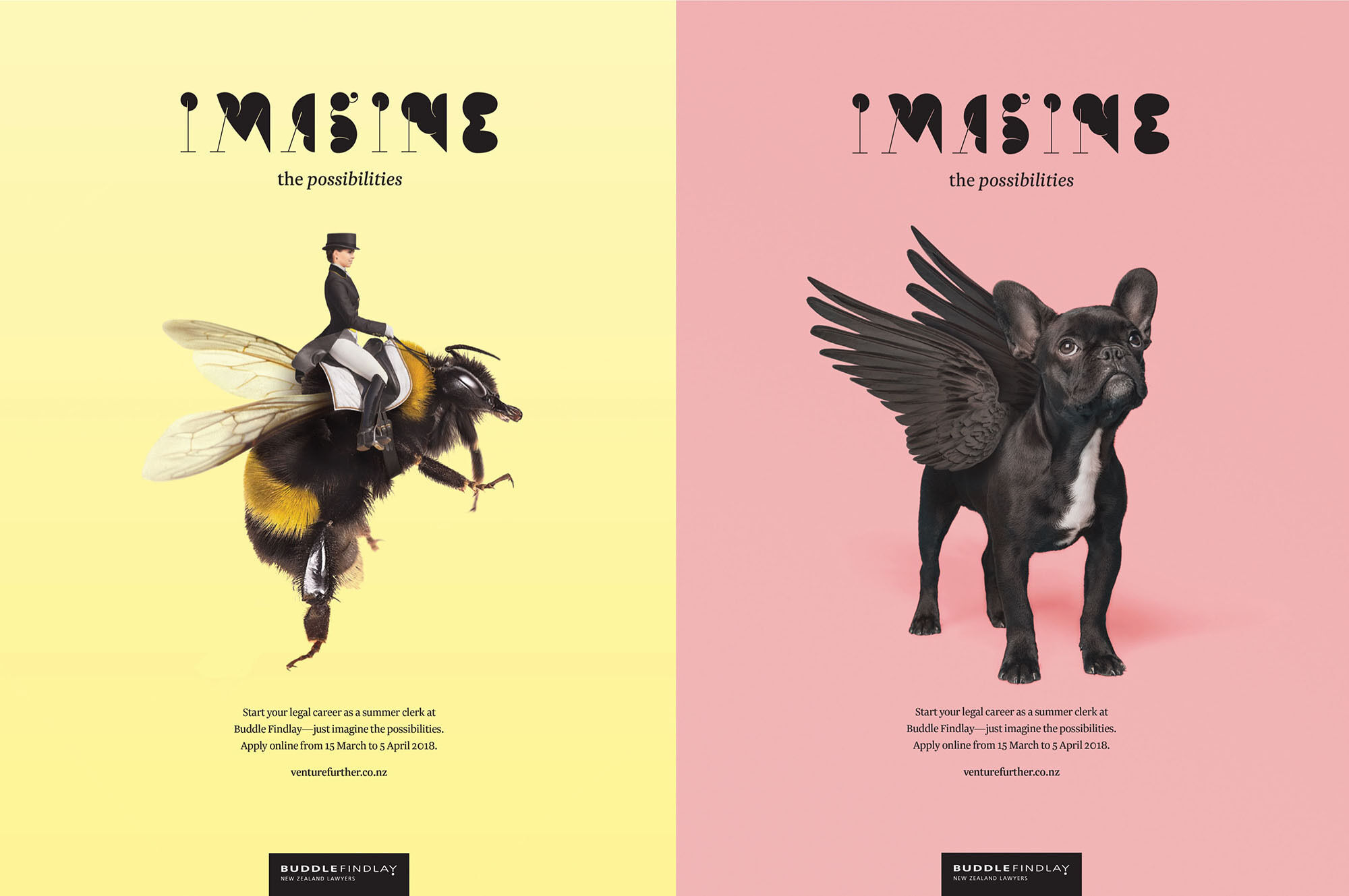 buddle_findlay_case_study_posters