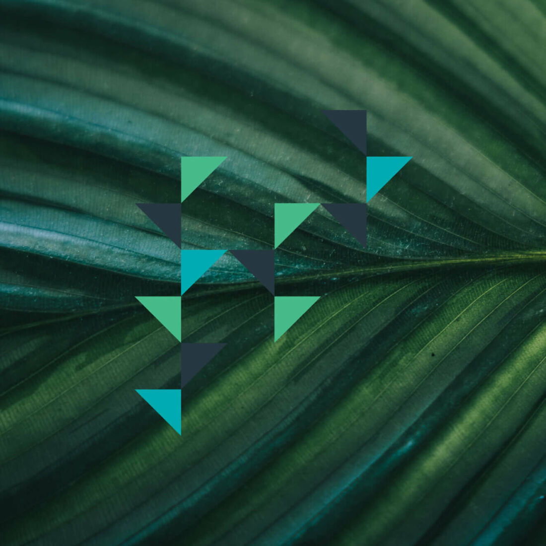 octagon_case_study_digital_graphic